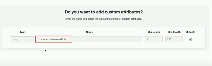 Custom Attributes