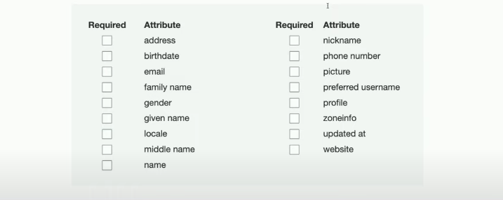 User Attributes